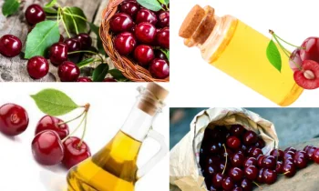 Cherry Oil (Kiraz Yağı) Nasıl Elde Edilir?